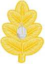 Medical Corps Medical Corps