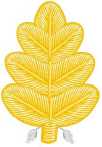 Dental Corps Dental Corps