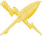 Cryptologic Technician Cryptologic Technician
