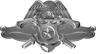 warfare devices on navy dress blues 5201